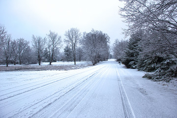 Snowy Road