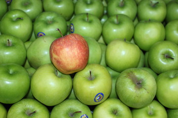 green apples and one red apple