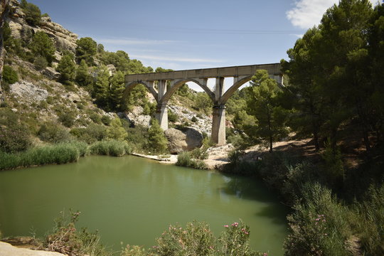 poza fuente caputa