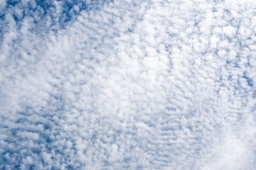 Obraz premium cirrocumulus clouds in the blue sky