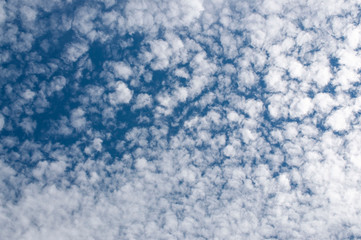 Fototapeta na wymiar cirrocumulus clouds in the blue sky