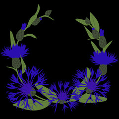 Vector illustration of a wreath of blue knapweed on black background