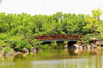 Fototapeta na wymiar Morikami Japanese Botanical Garden, Delray Beach, Florida, includes lakes, bridges and other Asian artifacts among the lush foliage backdrop 