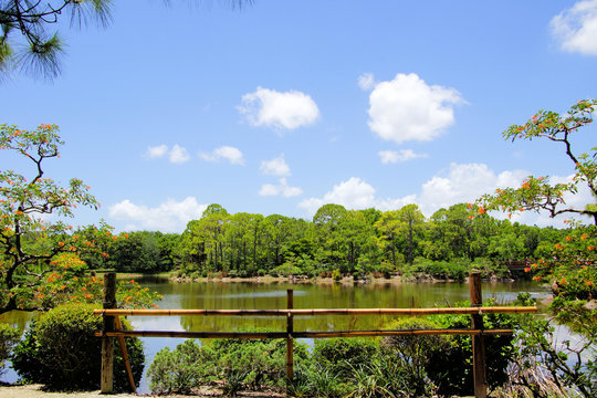  Morikami Japanese Botanical Garden, Delray Beach, Florida, includes lakes, bridges and other Asian artifacts among the lush foliage backdrop   