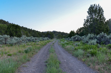 Fototapeta na wymiar dirt road in Long Valley at Fishlake National Forest (Sevier county, Utah, USA)