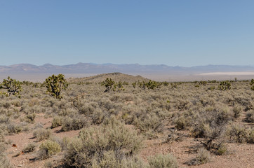 salt flat in the desert near Pahroc range scenic view from Great Basin Highway (Caliente, Lincoln county, Nevada)