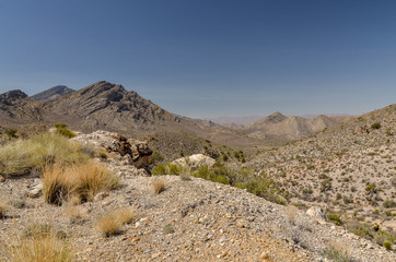 Fototapeta na wymiar scenic view of Pahranagat Range from Hancock Summit on Extraterrestrial Highway (Lincoln county, Nevada, USA)