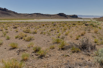 Extraterrestrial Highway crossing Twin Springs Slough (Nye County, Nevada, USA)