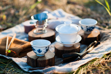 Utensils for Chinese tea ceremony outdoors on green grass in early morning light