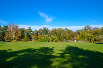 Obraz na płótnie Canvas The beautiful nature of Virginia America ,Park in the autumn