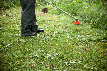 The gardener slams grass in the garden with a Brushcutter