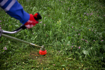 The gardener slams grass in the garden with a Brushcutter