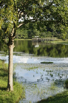 Montelibano, Cordoba, Colombia. September 8, 2008: Lake of Mirador of Zenu Park