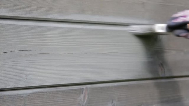 Woman's hand painting wooden house exterior wall with paintbrush and wood protective color