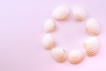 Creative flat lay photography with copy space. Collage of seashells isolated on pink background. Flat lay. View from above. 