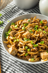 Homemade Japanese Mapo Tofu Udon Noodles