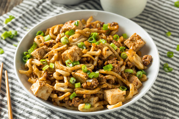 Homemade Japanese Mapo Tofu Udon Noodles