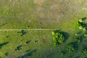 wild field, view from above