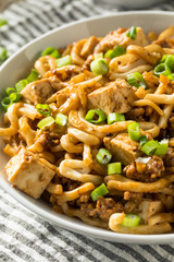 Homemade Japanese Mapo Tofu Udon Noodles