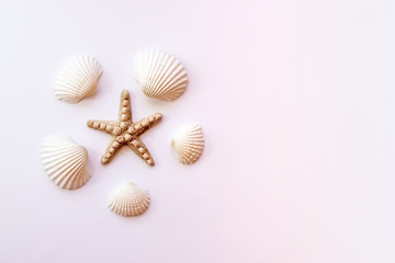 Seashells, starfish on pastel pink background. Summer concept. Top view, copy space 