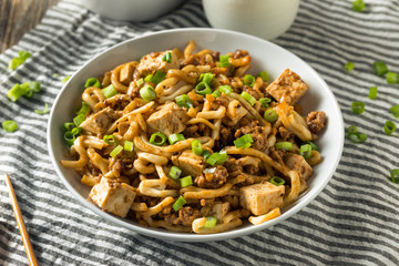 Homemade Japanese Mapo Tofu Udon Noodles