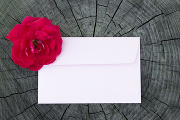 Envelope with a fresh red rose, concept. Copy space