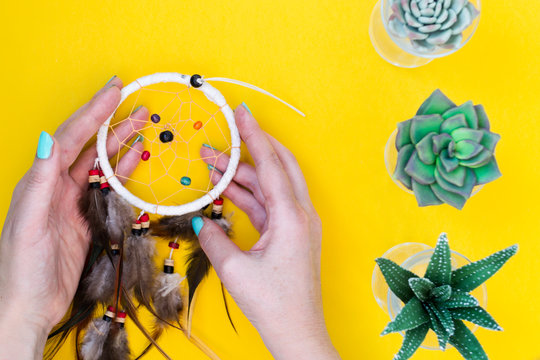 An Indian dreamcatcher with feathers lies in a woman's hand among cacti and succulents on a color bright yellow background.