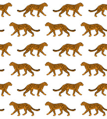 Vector seamless pattern of yellow hand drawn doodle sketch leopard isolated on white background  © Sweta