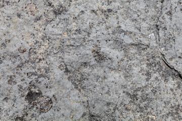 Grayish Old Weathered Natural Stone Texture