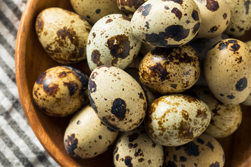 Obraz premium Raw Organic Spotted Quail Eggs