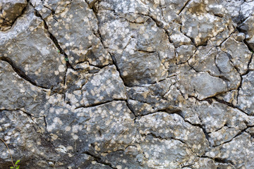 Grayish Cracked Old Weathered Natural Stone Texture