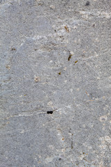 Grayish Old Weathered Natural Stone Texture