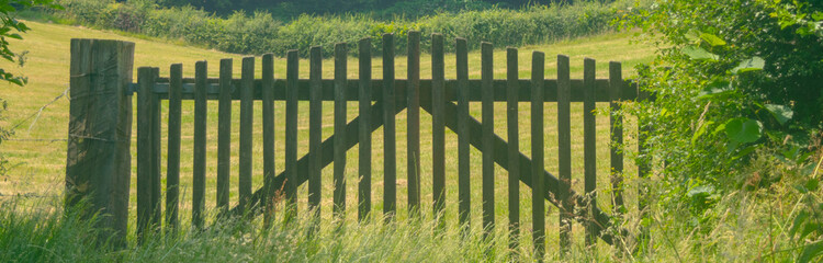 Wooden fence door fron of meadow