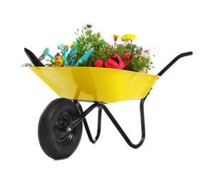 Wheelbarrow with flowers and gardening tools isolated on white