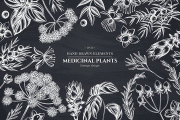 Floral design with chalk angelica, basil, juniper, hypericum, rosemary, turmeric - obrazy, fototapety, plakaty