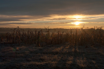 lever de soleil sur les mais