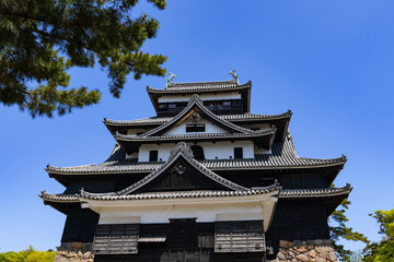 Fototapeta premium [島根県]松江城天守閣