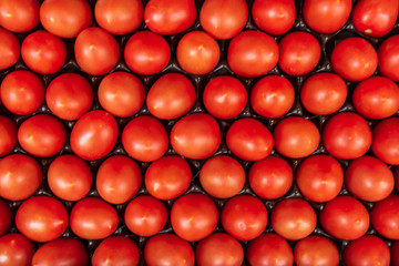 Fresh tomatoes are arranged and fill in roll and column between grid system in open package on stall in supermarket. Systematic tomatoes arrangement top view. 