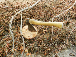 Old ax in hemp, on the background of firewood.