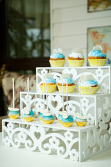 Sweet beautiful cake and other sweets for a child's birthday