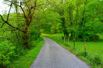 Paisaje relajante