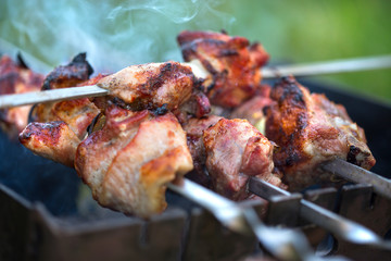 cooking delicious juicy grilled meat on the fire