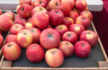 Ripe red apples . Top view with space for text. Farmers market concept.