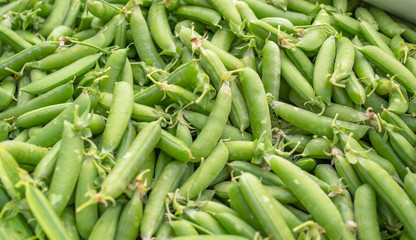 Close-up fresh green pea pods. Farmers market concepts.