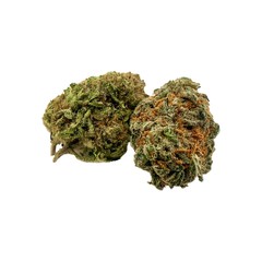 Marijuana Cannabis Buds Closeup