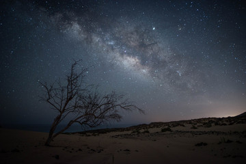 Paisaje nocturno con la vía láctea 