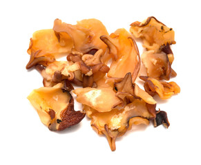 top view dry conch meat on a white background