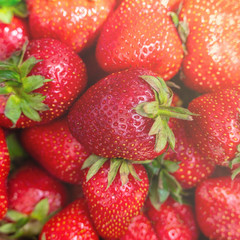 Fresh beautiful strawberries in wooden bowl top view. Strawberry fruits on wooden table copy space.