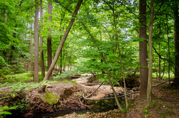 One of the beautiful parks in Virginia America