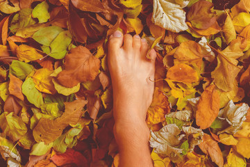 top view of bare human foot on the autumn colorful leaves surface